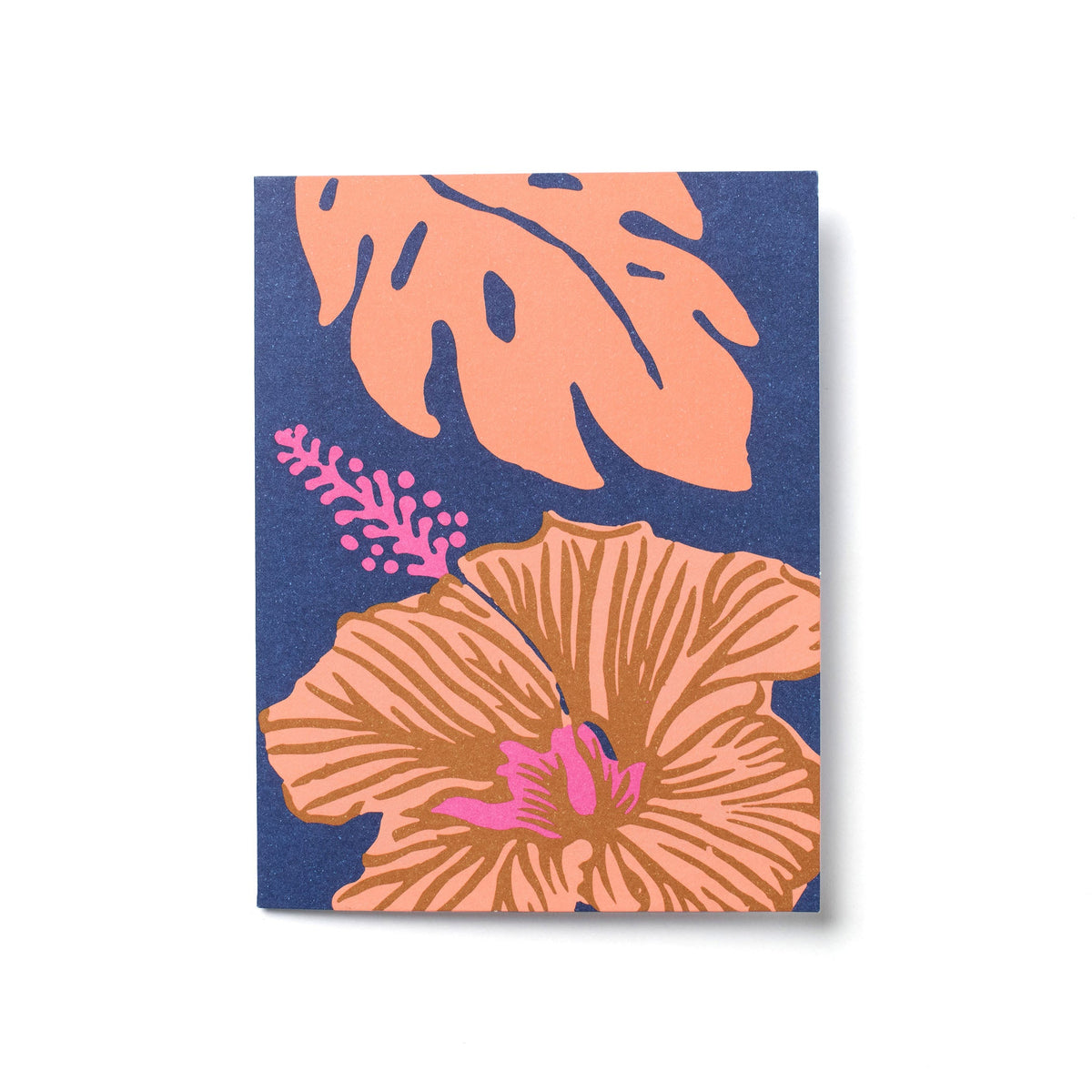 Everyday Card Pack | Multi Pack